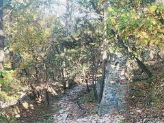 -帽儿山国家森林公园