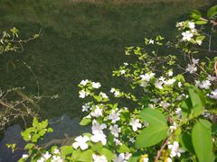 -山西通天峡景区