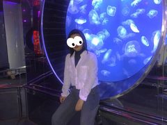 -成都浩海立方海洋公园