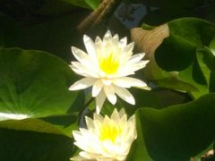 -镇江市南山风景名胜区竹林景区