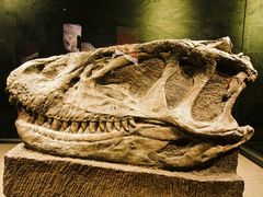 -自贡恐龙博物馆