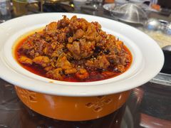-志晖园圆子鸡·辣子鸡(阳光店)