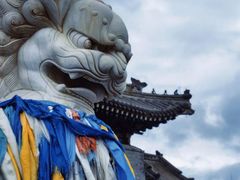 -乌拉盖芍药谷景区