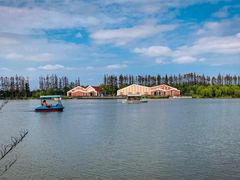 -上海长兴岛郊野公园