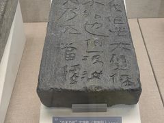 -亳州博物馆