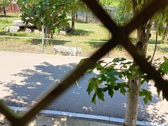 -秦皇岛野生动物园