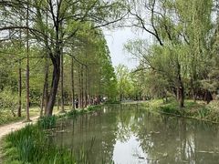-洛阳市隋唐城遗址植物园