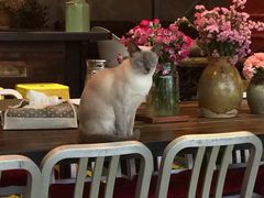 大堂-MIKAKU(万达广场上海宝山店)