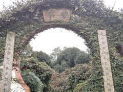 -南山植物园