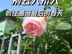 -杭州观成实验学校