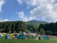 -武陵山森林公园