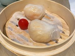 -茶港·点心·啫啫煲(王府井店)