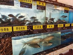 水产区-盛记顺德高佬猪杂粥