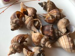 -莆鑫海鲜城(浏河店)