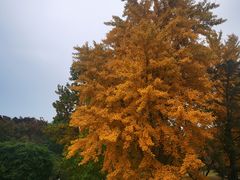 -国家植物园南园