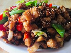 -煲来饱去冷水鱼