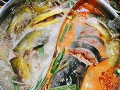 -快活林酸汤鱼鲜品火锅店(甲秀楼店)