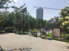 -迎泽公园
