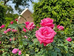 -人民公园(罗湖区)