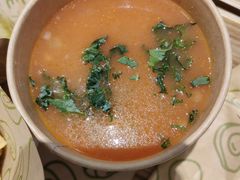 -油梨树 AVOCADO TREE(亮马桥店)