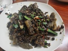 -榕江牛瘪牛肉火锅(东新路店)