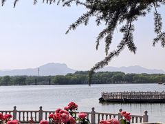 -石家庄市植物园