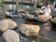 -成都市活水公园