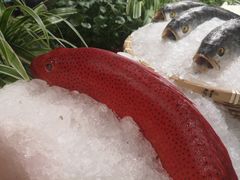 -旺顺阁海鲜广场(亚运村店)