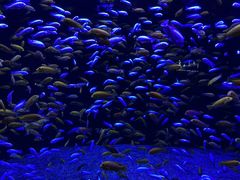 -成都浩海立方海洋公园