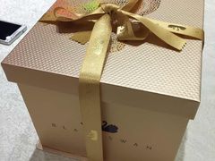 -BLACKSWAN黑天鹅(环球店)