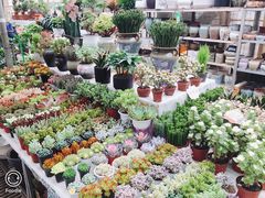 -秦美花卉(天朗·莱茵小城2期店)