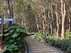 -同里国家湿地公园