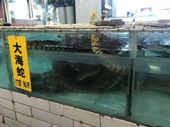 -寻味顺德·南记酒家·传统顺德菜·鱼生(广源路店)