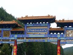 -塞罕坝国家级自然保护区