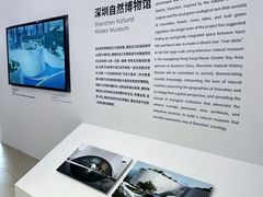 -深圳市当代艺术与城市规划馆