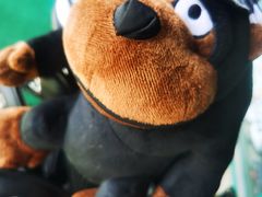 -万柳高尔夫俱乐部