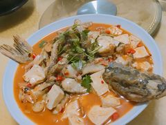 -煲来饱去冷水鱼