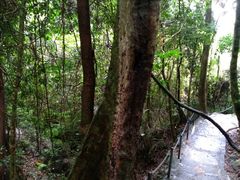 -七仙岭温泉国家森林公园