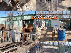 -1982农场
