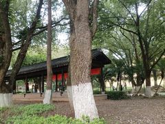-永安龟山公园