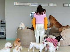 -怪兽屋·羊驼·猫咖·狗咖(俊华广场店)