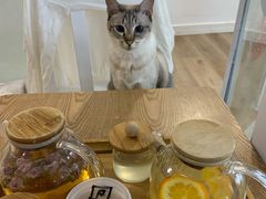 -李小姐の猫咖啡馆(五角场店)