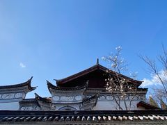 -云南民族村