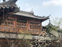 -渭南桃花源民俗文化园