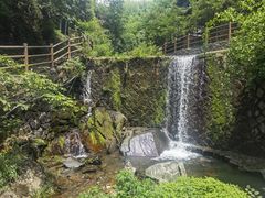 -莫干山风景区