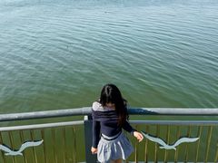 -南湖大桥