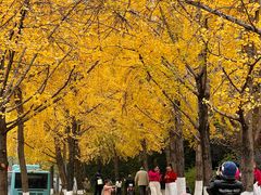 -高庙村(地铁站)