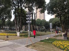 -重庆市江北嘴中央商务区中央公园