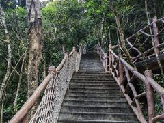 -海南热带雨林国家公园吊罗山景区
