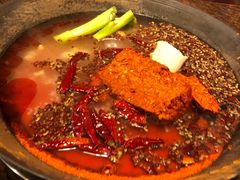 -星鸿社重庆老火锅(燃灯寺分店)